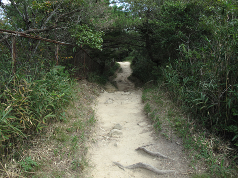 20140922hike (128)